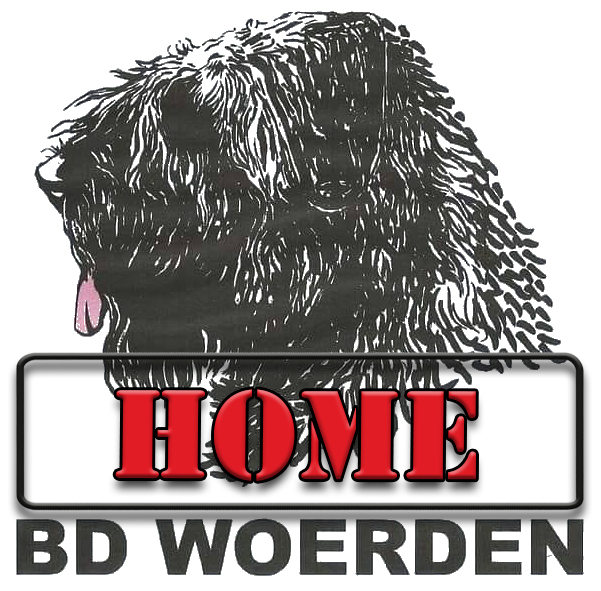 BD Woerden Home